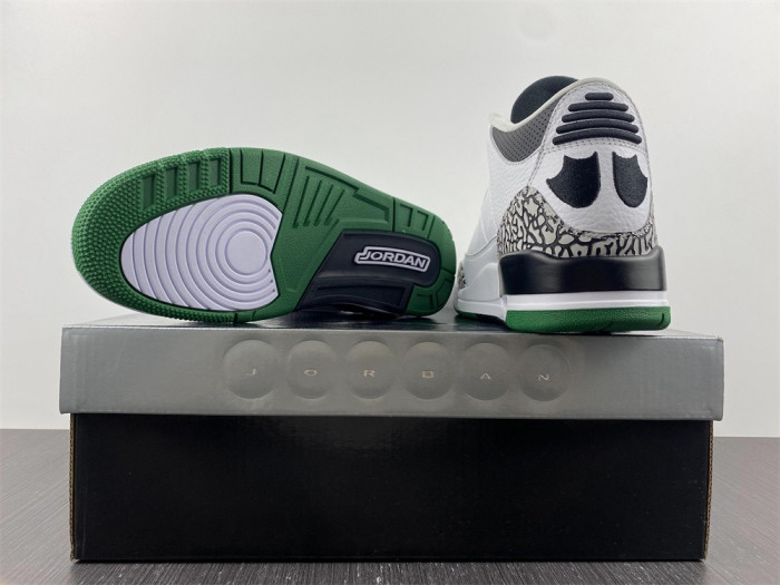 Air Jordan 3 Retro Oregon Ducks Pit Crew White - 594282233