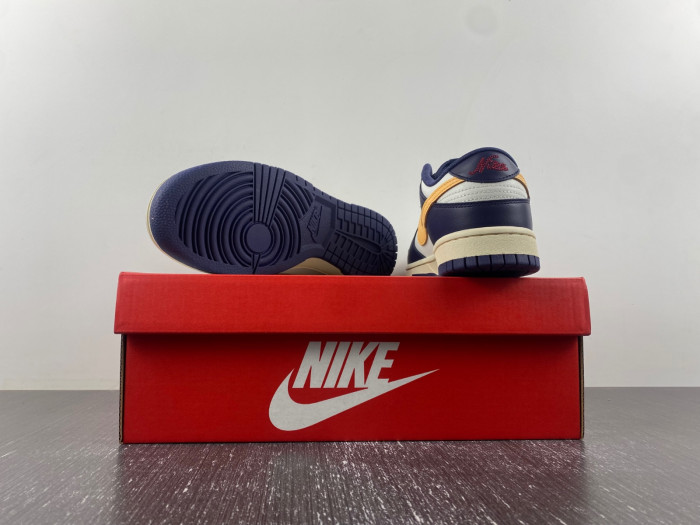Nike Dunk Low Retro FV8106-181