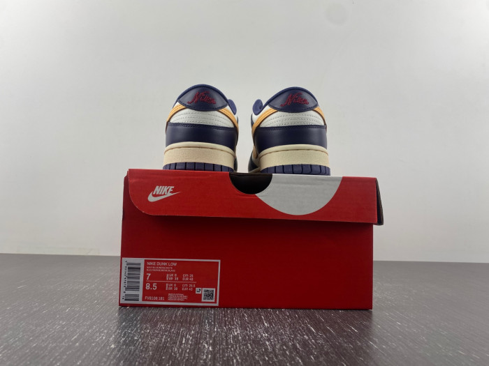 Nike Dunk Low Retro FV8106-181