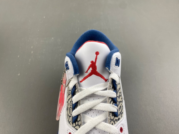 Air Jordan 3 Retro 