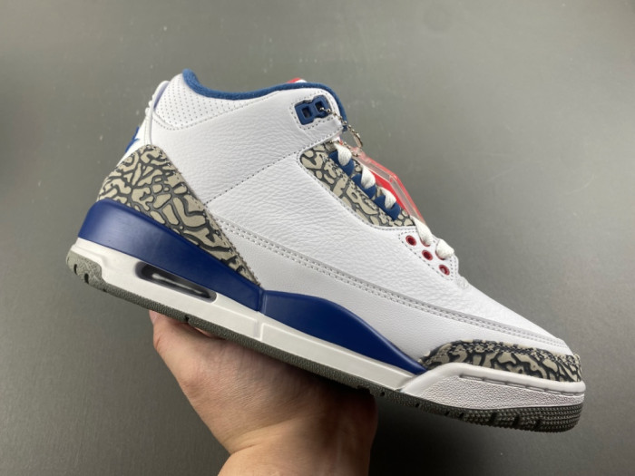 Air Jordan 3 Retro 