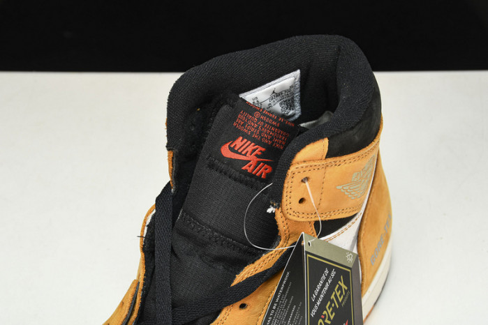 Air Jordan 1 Element Gore-Tex Light Curry DB2889-700