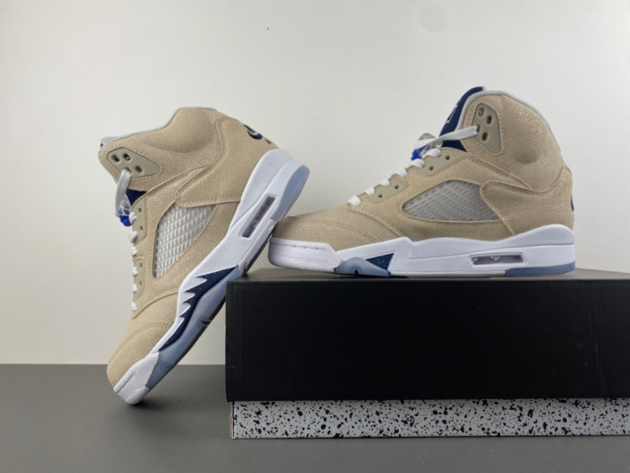 Air Jordan Air Jordan 5 Retro