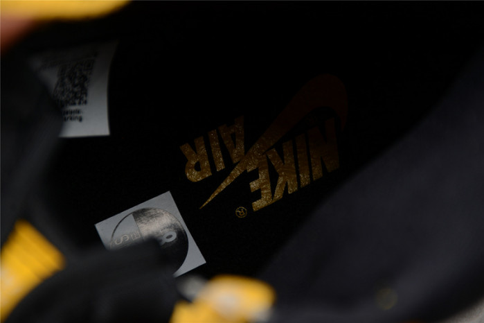 Air Jordan 1 Retro High OG Pollen 555088-701