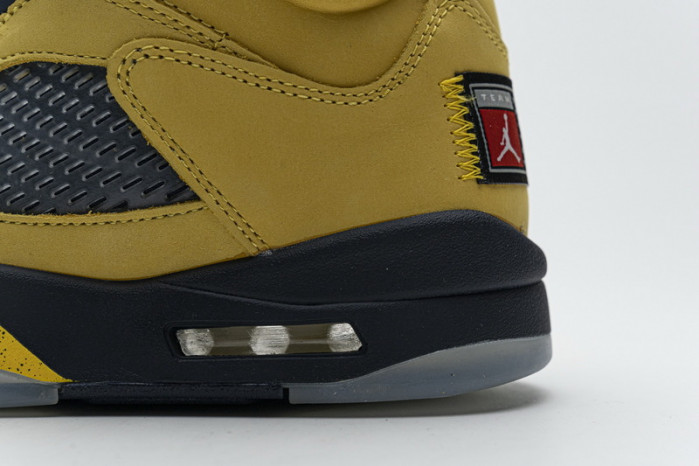 Air Jordan 5 Retro T23 