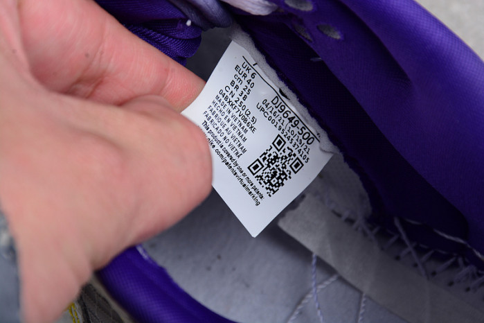 Union Nike Dunk Low Purple Gold DJ9649-500