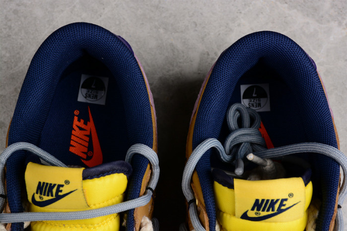 NIKE Dunk Low "Retro" Vibe DD1391-700