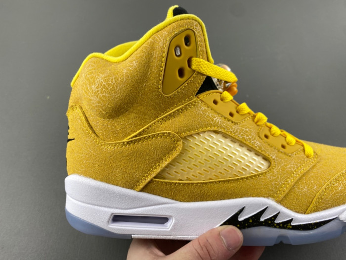 Air Jordan Air Jordan 5 Retro
