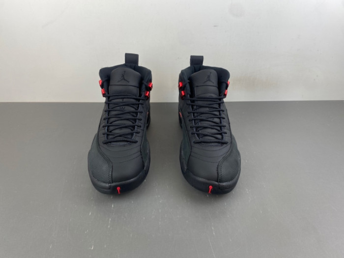 Air Jordan 12 “Bloodline” CT8013-001