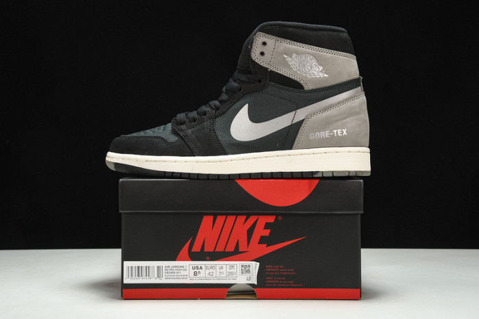 Air Jordan 1 GORE-TEX DB2889-001