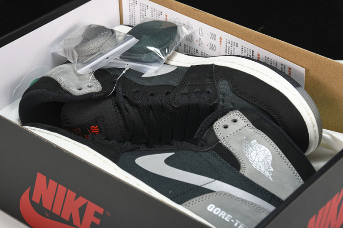 Air Jordan 1 GORE-TEX DB2889-001