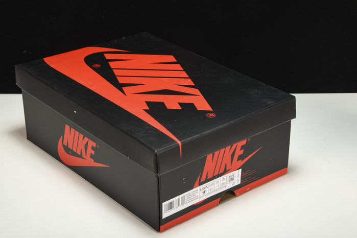 Air Jordan 1 High OG WMNS “Newstalgia” DJ4891-061