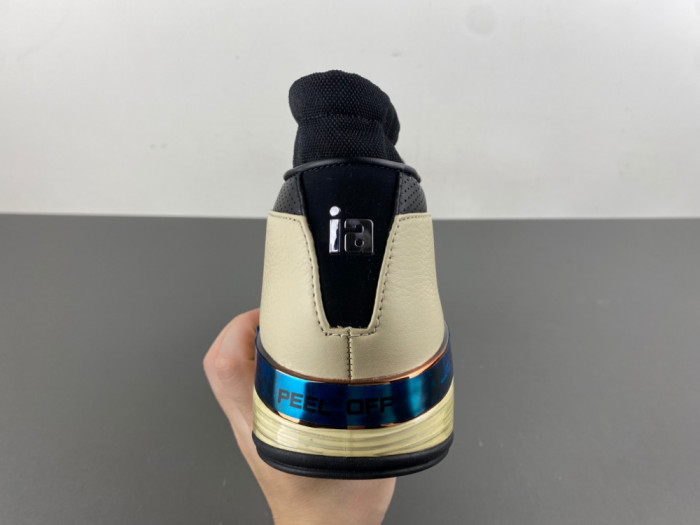 Infinite Archives x Air Jordan 17 Low IH0177-200