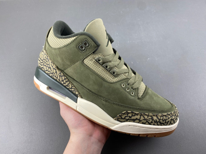 Air Jordan 3 Family Affair Medium Olive DN3707-202