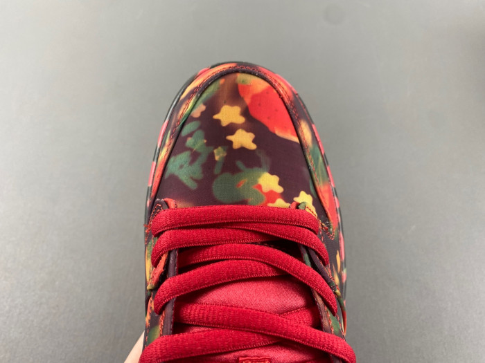 The Wizard of Oz Nike SB Dunk Low FZ1291-600