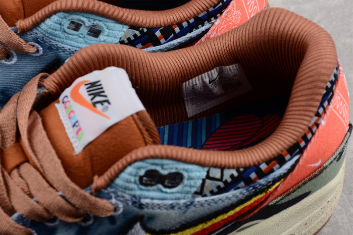 Nike Air Max 1 SP Concepts Heavy - DN1803-900