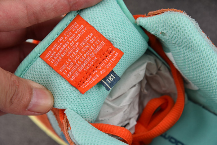 Nike SB Dunk Low Orange Noise Aqua DV5429-800