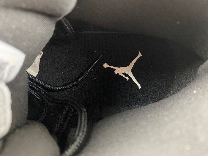 AIR JORDAN 12 “BLACK/WOLF GREY”