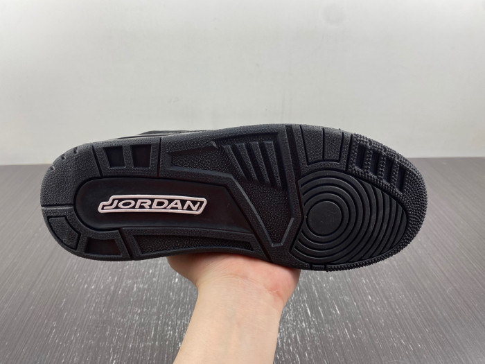 Air Jordan 3 CK9246-168